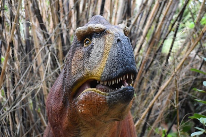 Der größte Dinosaurier aller Zeiten – spektakuläre Entdeckung 2026